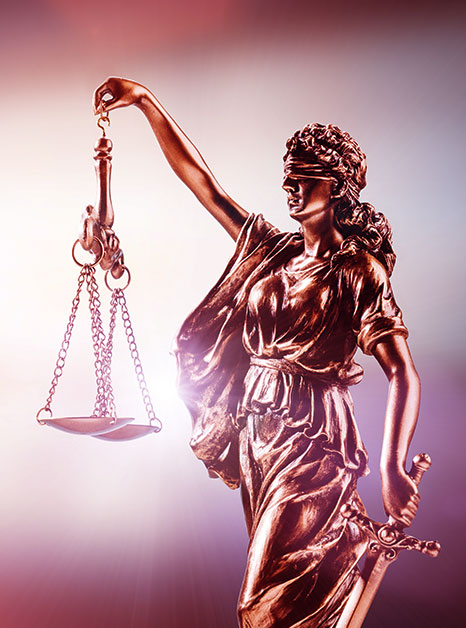 Law
