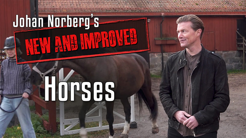 Horses