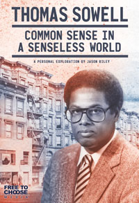 Thomas Sowell: Common Sense in a Senseless World poster
